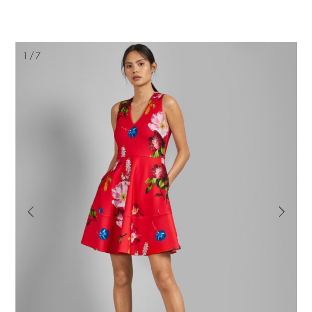 Ted Baker NWT floral dress